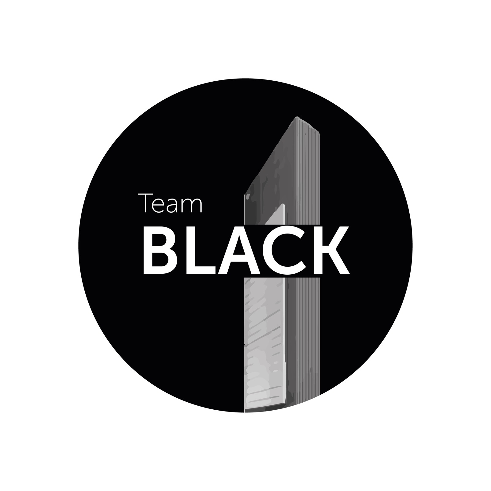 Black Team : SG Election Profile