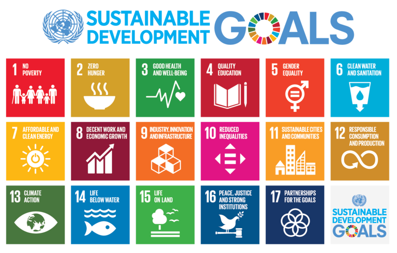 787px Sustainable Development Goals