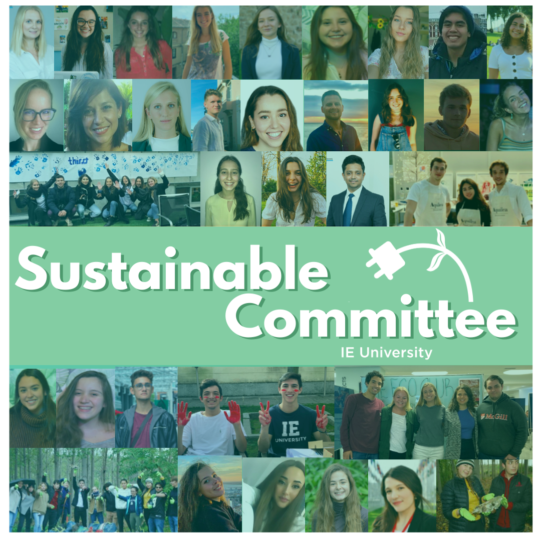 Sustainable Committee | Meet the Clubs