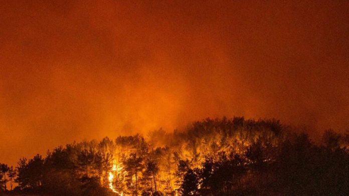 WhatsApp Image 2021-08-27 at 13.10.42