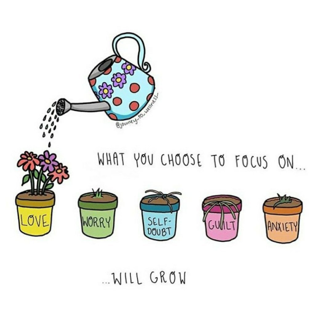 What you choose to focus on will grow