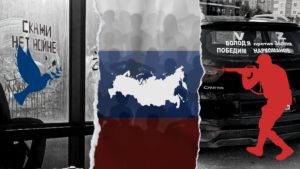 Diary of a Citizen Living in the Z Country