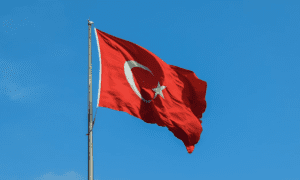 Has Türkiye Become a Superpower?