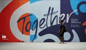 What does the IE Foundation really do?