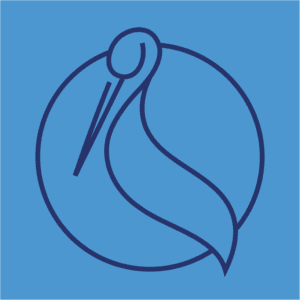 Formal Statement in Relation to the 2023 Student Government Elections