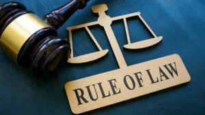 Rule of Law: Implications for EU Elections