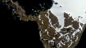 Antarctica is Turning Green at an Alarming Rate