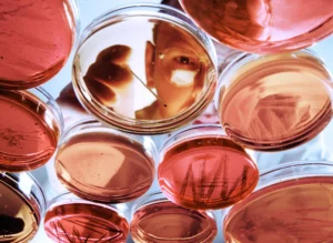 Nip It In the Bud: The Role of Universities and Their Students in Preventing Scientific Misconduct