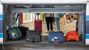 Efectos del Verano Joven 2024